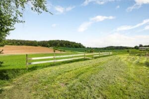Herrlicher Weitblick ins Nürnberger-Land über Wiesen und Felder