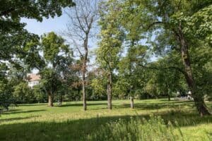 Natur pur inmitten der Stadt - Erholung direkt am Objekt