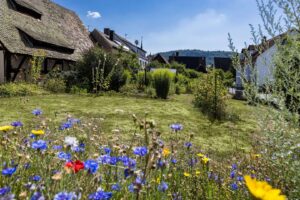 Ein Ausblick, der zu Schnaittach gehört: Der Blick aus dem Garten verbindet das eigene Grün mit dem Rothenberg und seiner weithin sichtbaren Festung